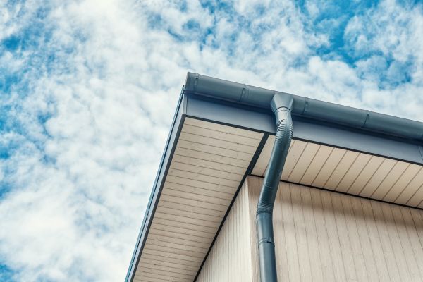 Gutter Fascia Repair in Logan