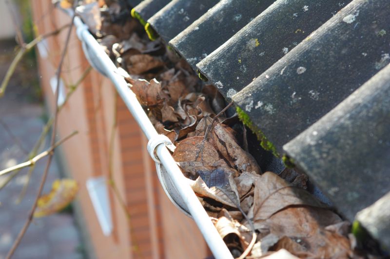 Clogged Gutter Risks